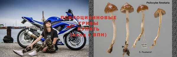 гидропоника Горняк