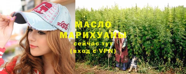 гидропоника Горняк