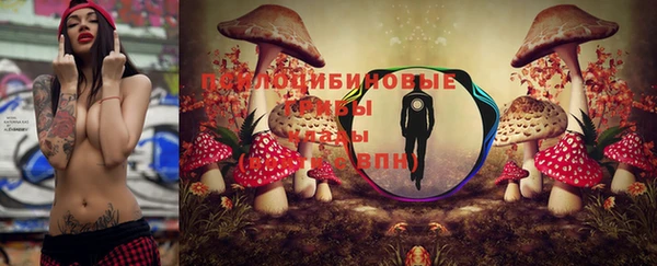гидропоника Горняк