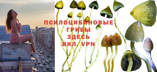 бошки Горно-Алтайск
