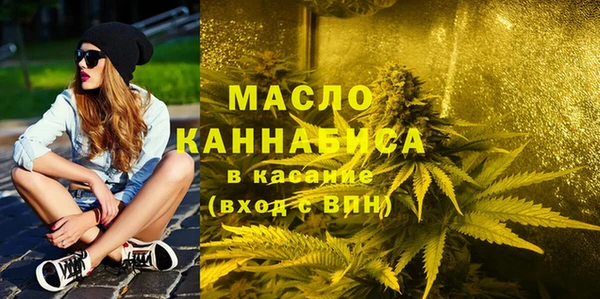гидропоника Горняк