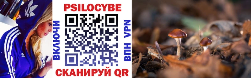 Галлюциногенные грибы Magic Shrooms  Псков 